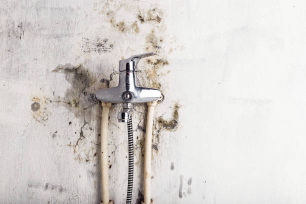 Mold Removal and Inspection in Benson, NC