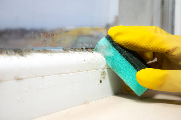 Best Mold Testing  in Benson, NC