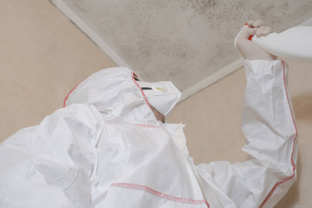 Trusted Benson, NC Mold Removal Experts