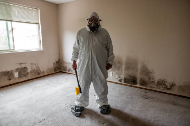 Office Mold Removal Services in Benson, NC