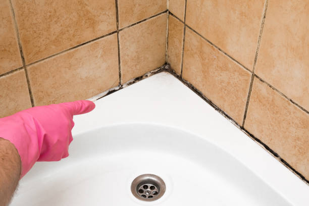 Best Residential Mold Removal  in Benson, NC